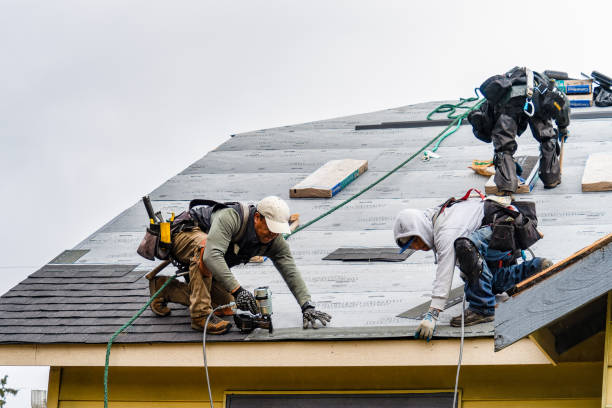 Professional Gutter Installation technician working in Swanton, NE